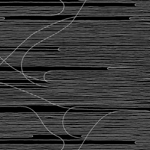 Absolute II