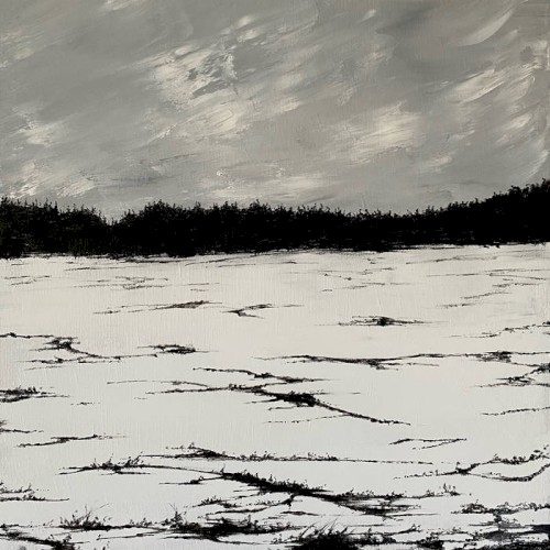 Echoes on a Windswept Plain