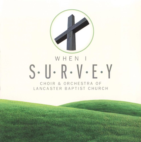 When I Survey