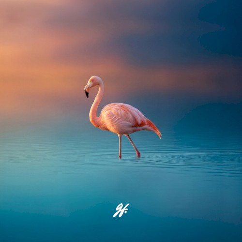 Walking on Water