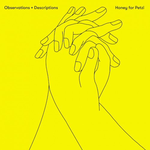 Observations + Descriptions