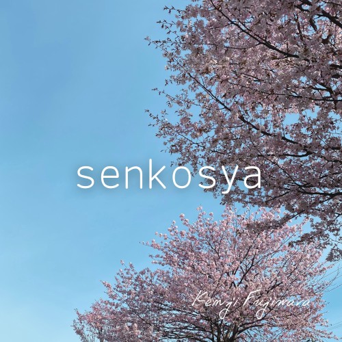 senkosya