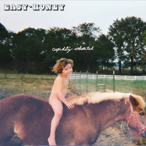 Cupidity Unlimited