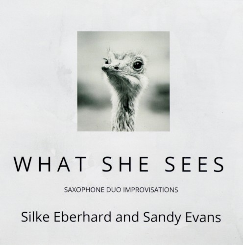 What She Sees