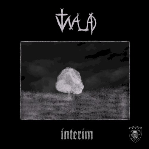 interim