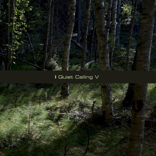 Quiet Calling V