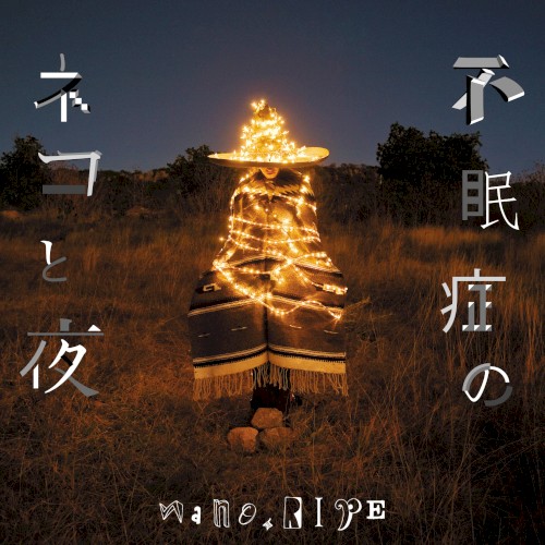 不眠症のネコと夜