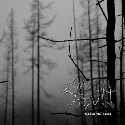 Within the Flesh