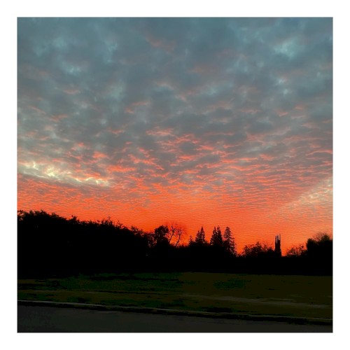 january.
