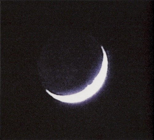 طرب TARAB