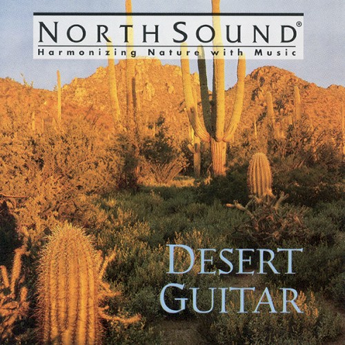 Desert Guitar