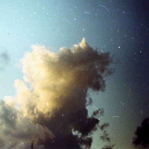 Donna Sol