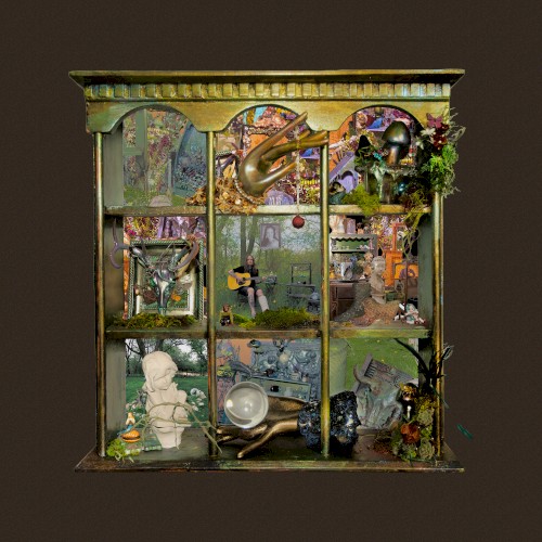 Billy Strings &ndash; So Much for Goodbyes