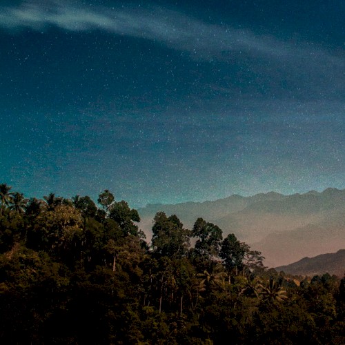 Wildlands II