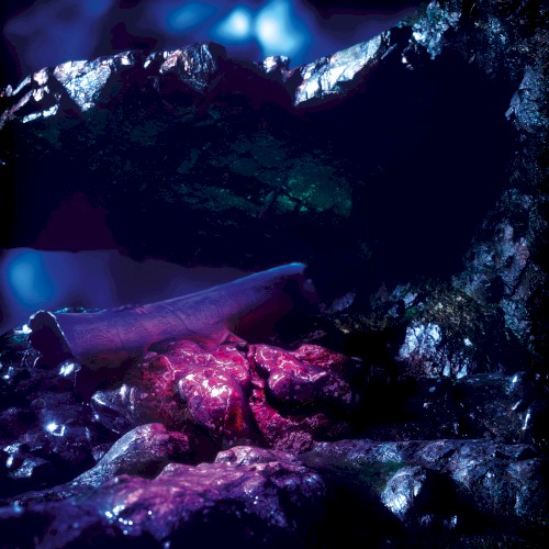 Stenny &ndash; Sharp Fragments
