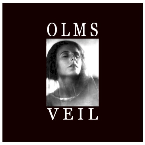 VEIL