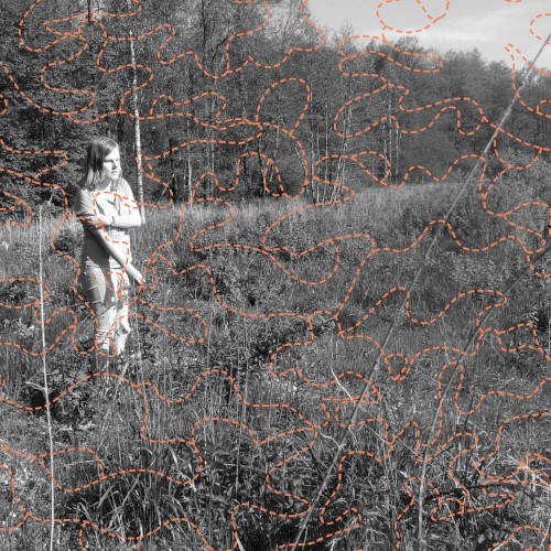 Soundscapes of spring