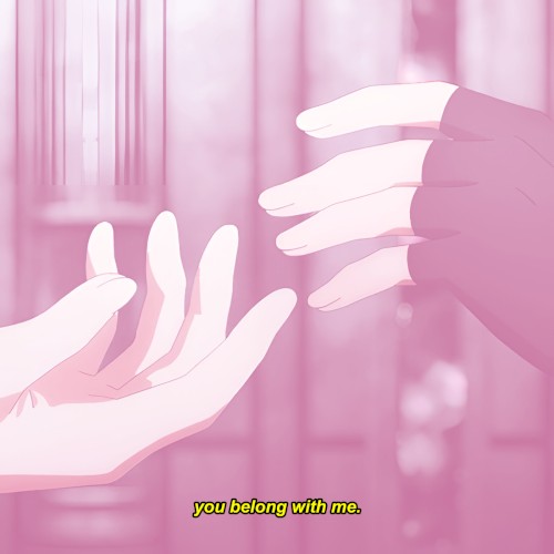 You Belong With Me