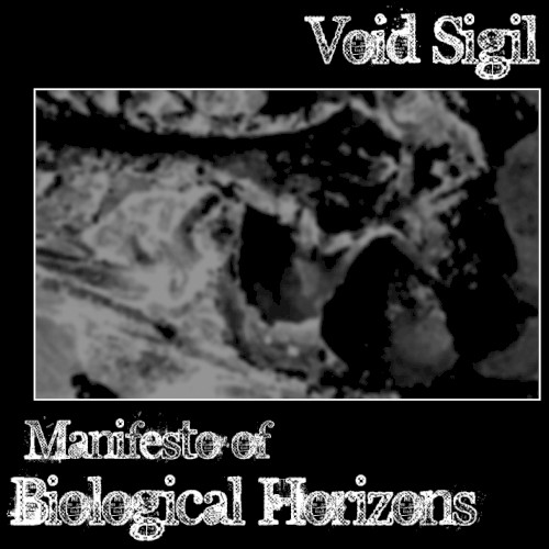 Manifesto of Biological Horizons