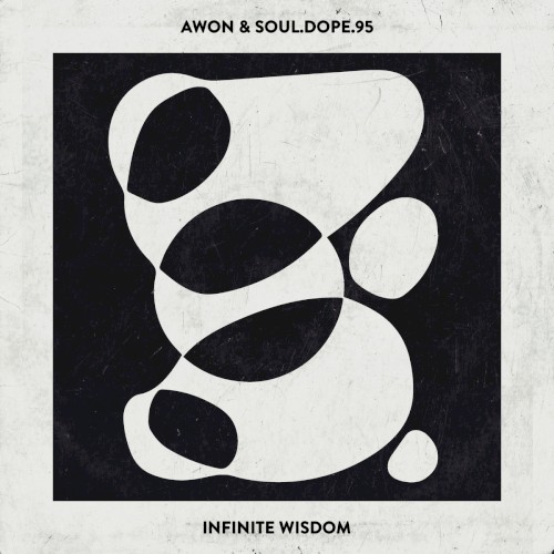 Infinite Wisdom