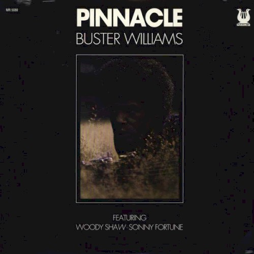 Buster Williams &ndash; Pinnacle