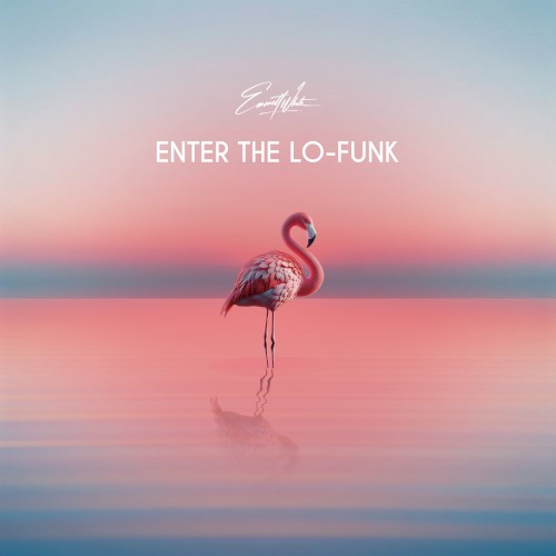 Enter the Lo‐Funk