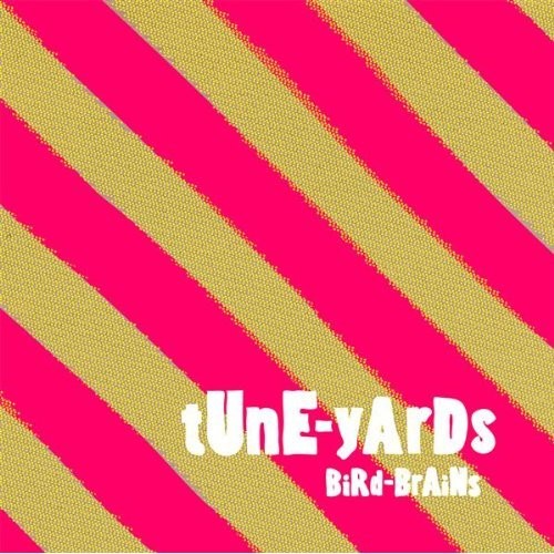 BiRd-BrAiNs