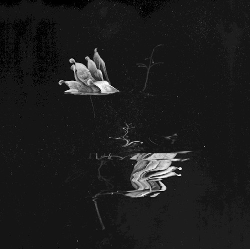 The Subtleties of Elevated Things