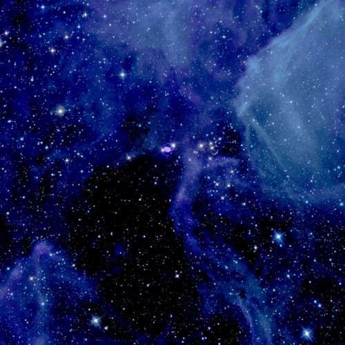 Ionadro