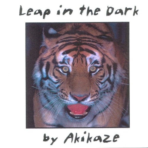 Leap in the Dark