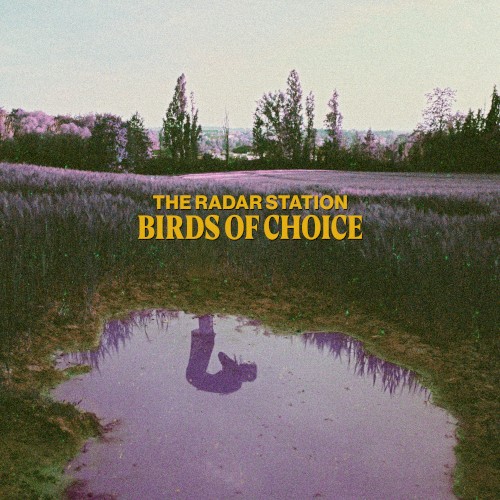 Birds of Choice