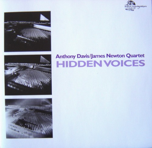 Hidden Voices