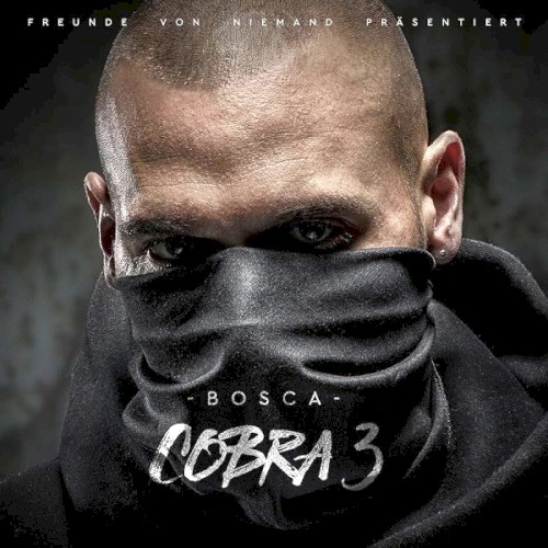 Cobra 3