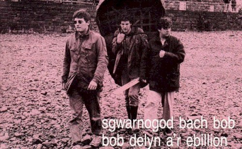 Sgwarnogod Bach Bob