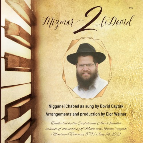 Mizmor leDovid 2