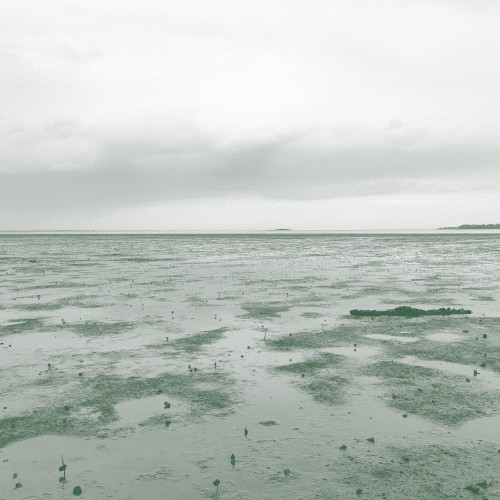 Traces