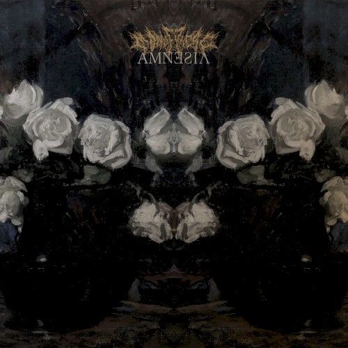 Amnesia