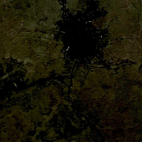 3exoprojection