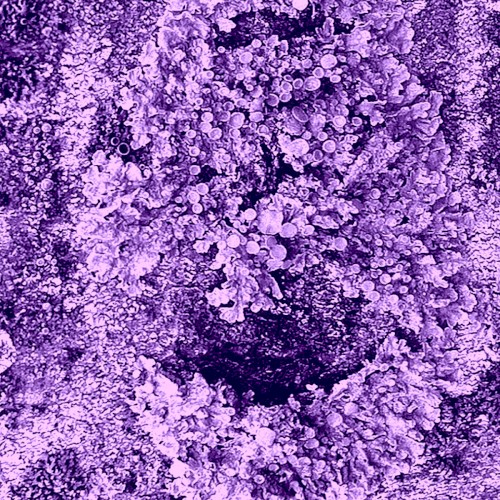 A Piece of Eternal Consciousness