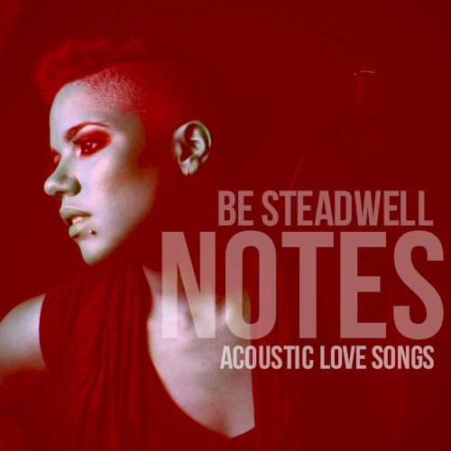 Notes: Acoustic Love Songs