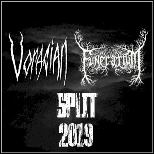 Split 2019