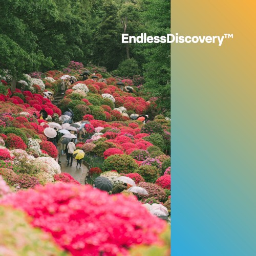 EndlessDiscovery™ 2