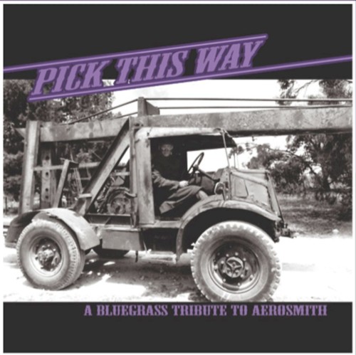 Pick This Way: A Bluegrass Tribute to Aerosmith
