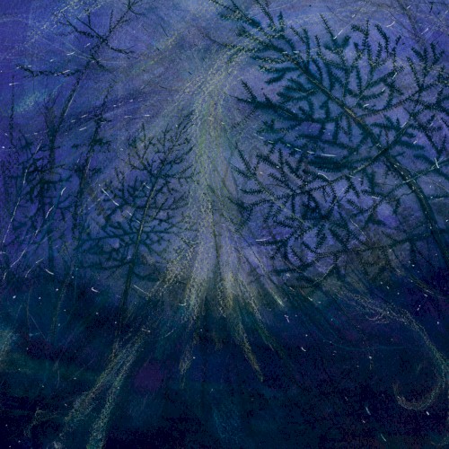 Forest Storm