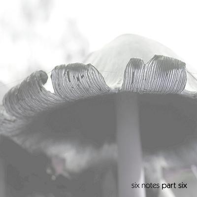 Six Notes Part 6