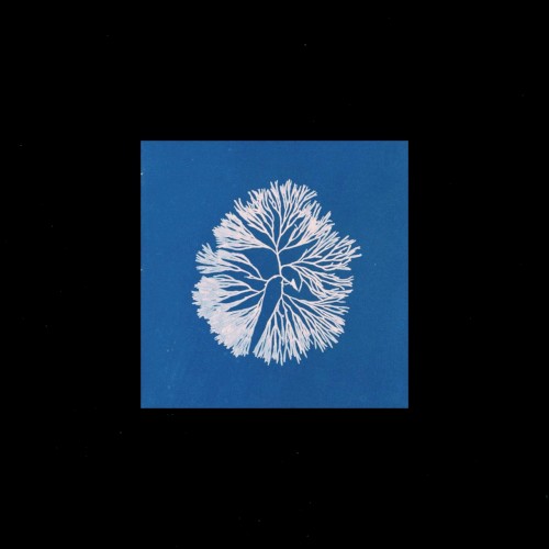 Silk Noise Reflex