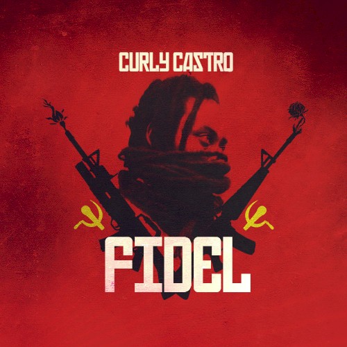 FIDEL