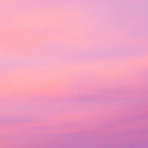 Neural Silhouette