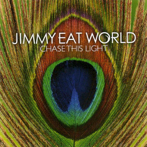 Chase This Light
