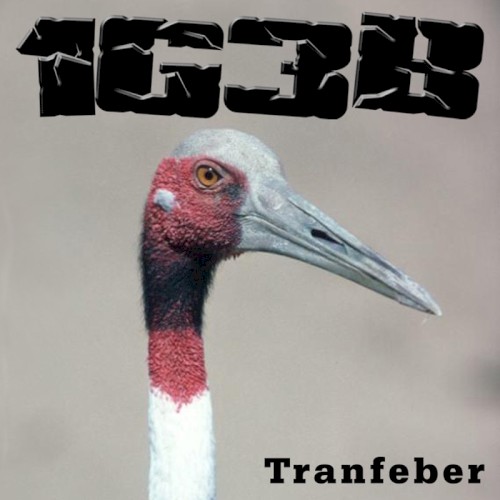 Tranfeber